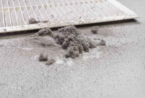 Best Affordable Air Duct Cleaning  in Garden City, ID